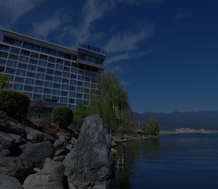 Umbraco.Web.PublishedCache.NuCache.Property