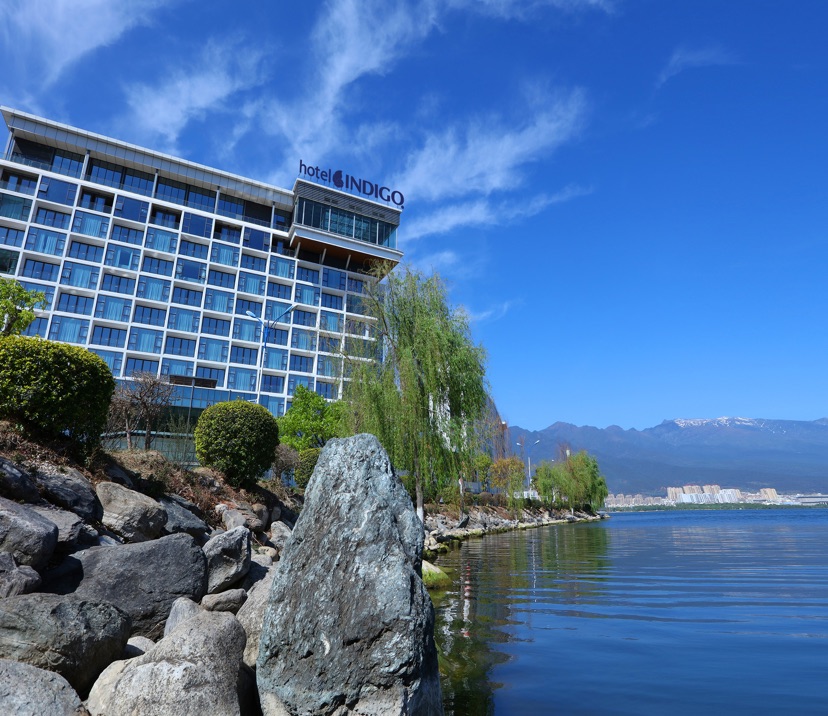 Umbraco.Web.PublishedCache.NuCache.Property